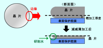 海搏网(中国区)官方直营网站_项目1679