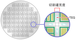 海搏网(中国区)官方直营网站_公司5616